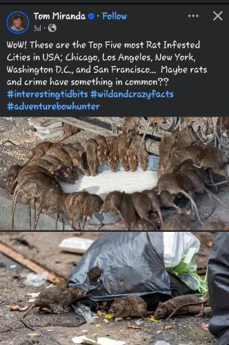 Rats