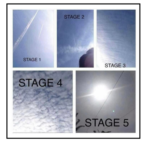 stages