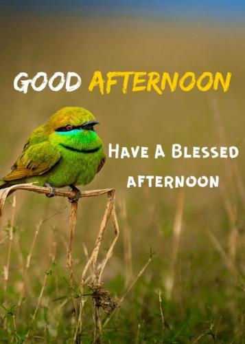 good afternoon 6