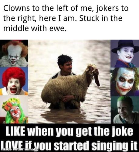 FB_IMG_1780452546489