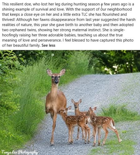 doe