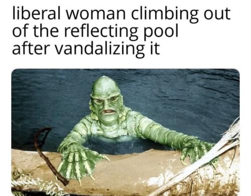 liberal-woman-reflecting-pool