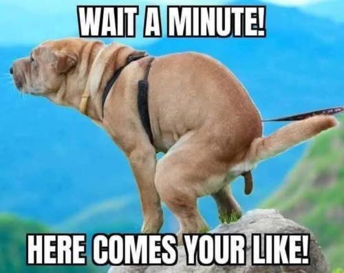 FB_IMG_1781649731259