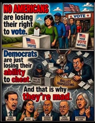Democrats Cheat