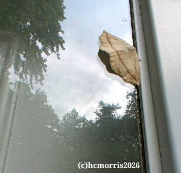 08:39:10 GMT-0400