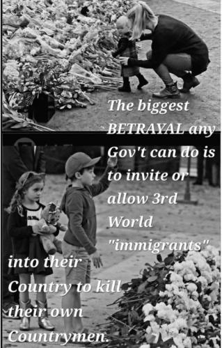 1782068449515
