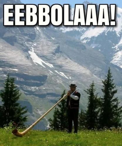 IMG_5478