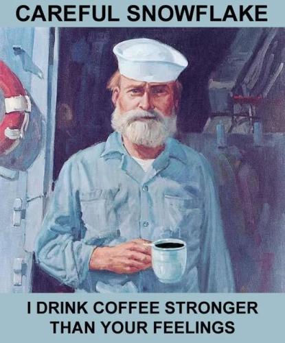 navy coffee snowflake strong