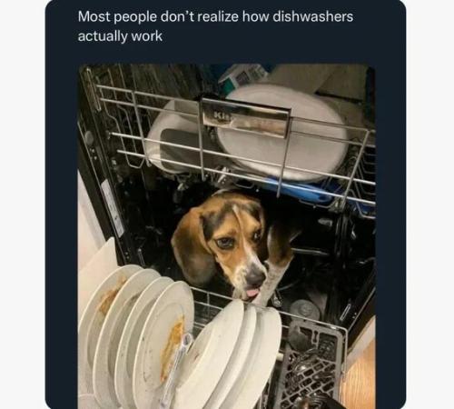 how-dishwashers-work