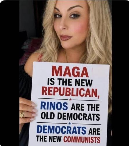 maga-rino-democrat