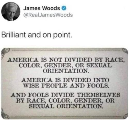 fools-divide-themselves