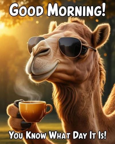 1-Hump Day