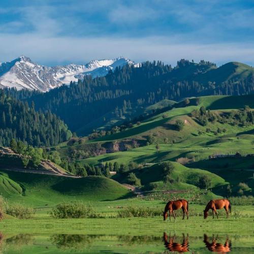 Ili-Travel-Guide-9