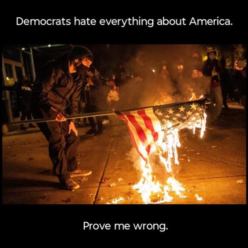 democrats-hate-everything-america