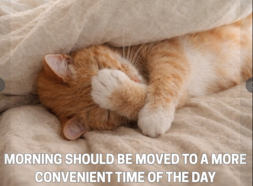 morning-should-be-moved-more-convenient-time-day