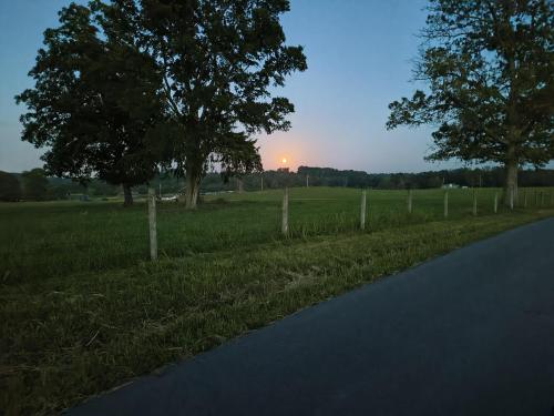 1000001140