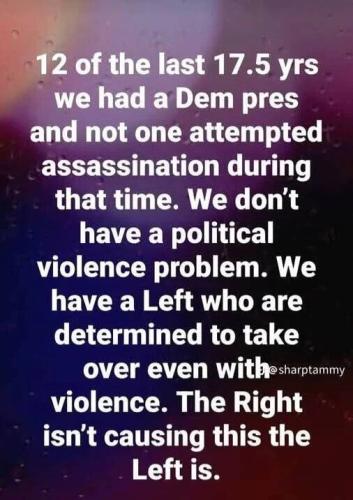 leftist-violence