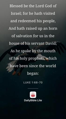 unnamed-31