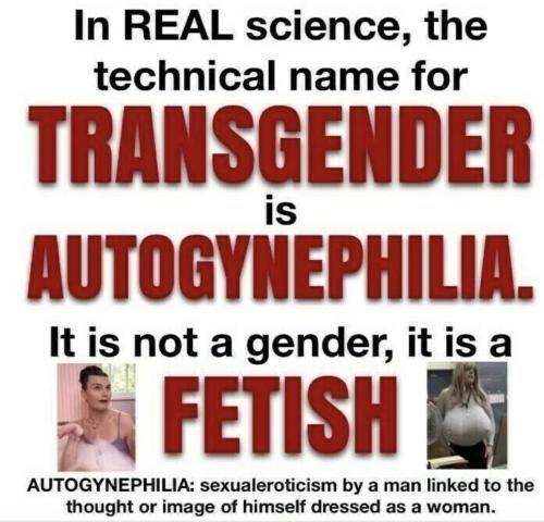 1784454559049