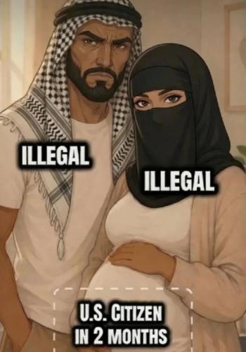 illegal immigration540