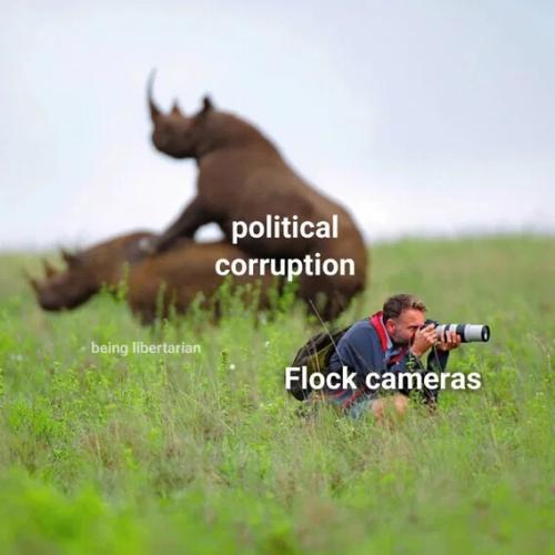 corruption-flock