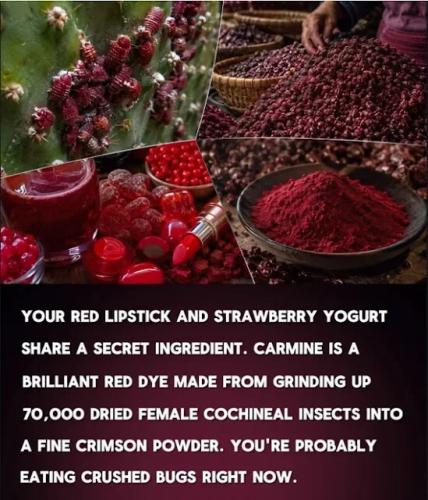 red-lipstick-strawb-yogurt-bugs