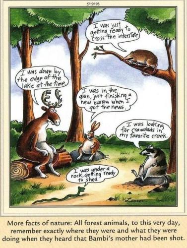 funny 633