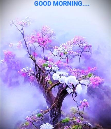 072126 - GM Cherry blossom