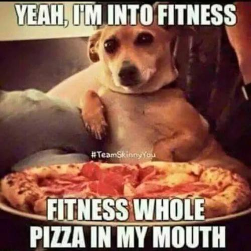 into-fitness