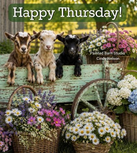 happy Thursday