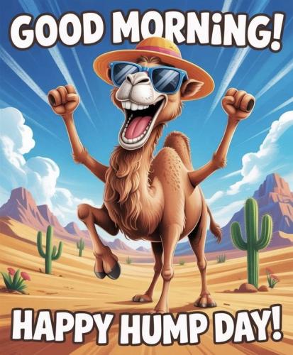 1-Hump Day