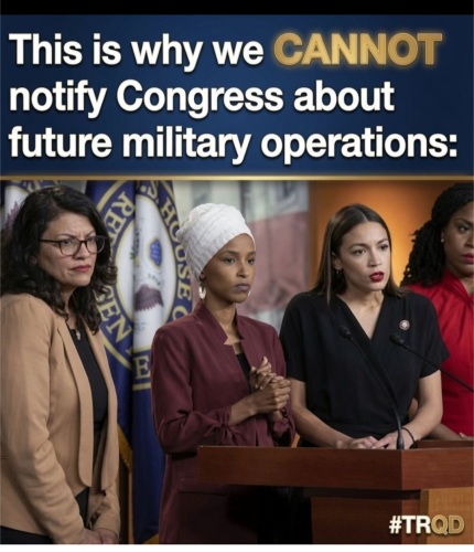 democrats treason