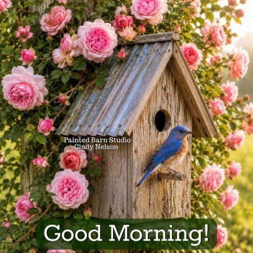 good morning