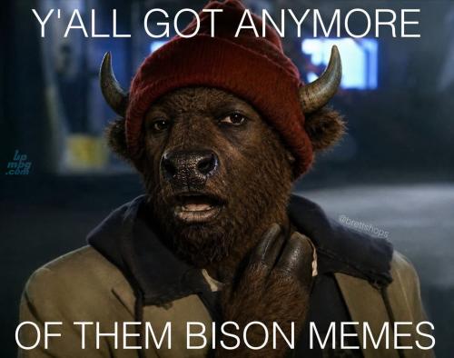 _()_bison interview-2