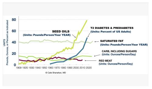 Seed Oils & Type 2 Diabetes