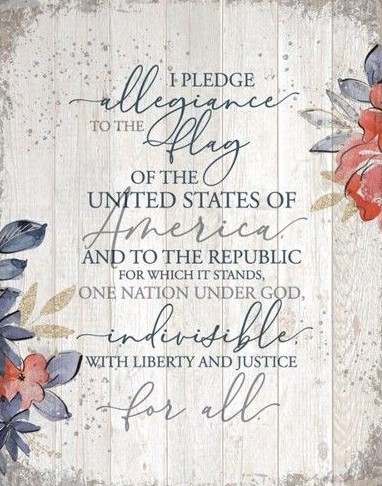 pledge 91