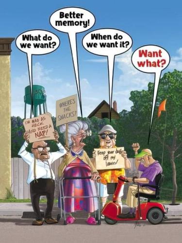 funny 624