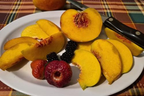 breakfastfromthegarden