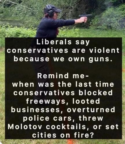 liberals-say-conservatives-violent-because-guns