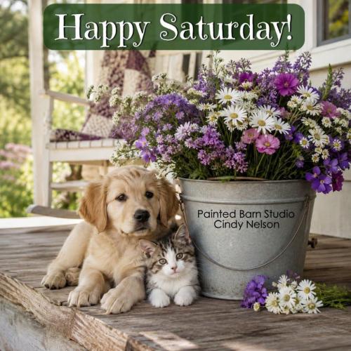happy saturday