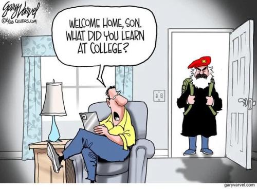 what-did-you-learn-at-college