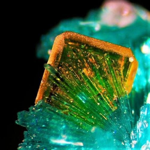 gems7