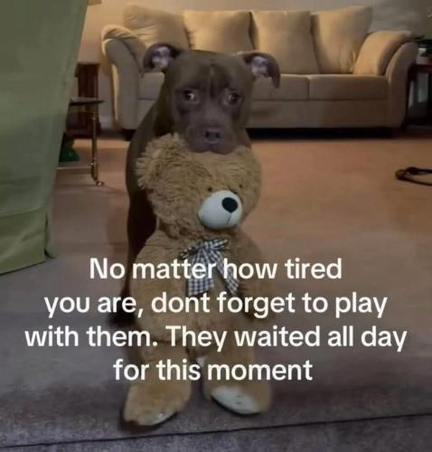 FB_IMG_1781994763686