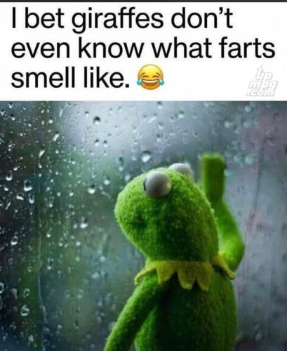 _1783354409562