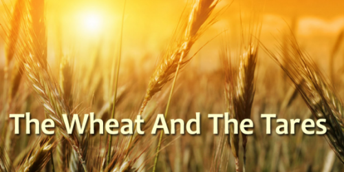Parable of the Wheat and the Tares