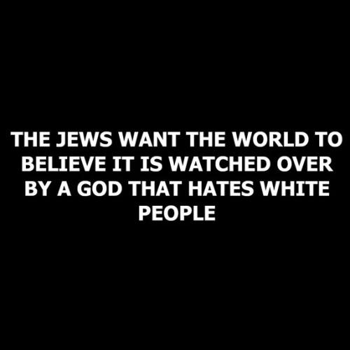 a9c1b98c7c5c738102a05dc5629c4a22