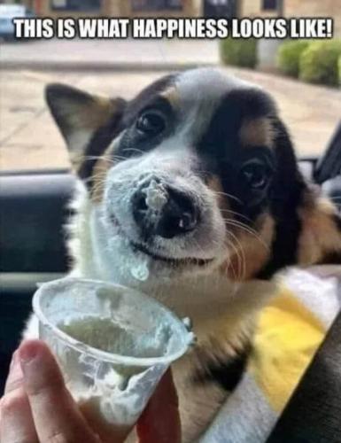 what-happiness-looks-like