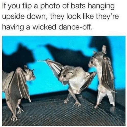 wicked-dance-off