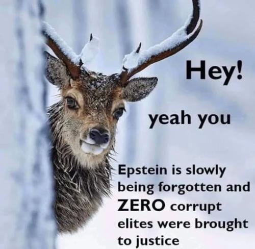 Hey