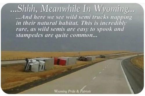 wild-semi-trucks